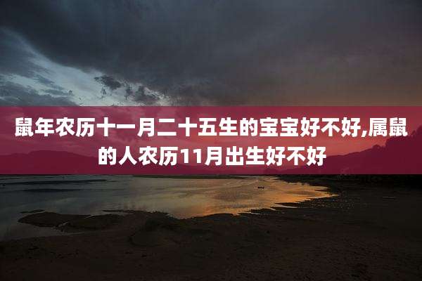 鼠年农历十一月二十五生的宝宝好不好,属鼠的人农历11月出生好不好