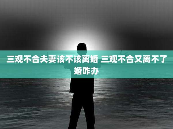三观不合夫妻该不该离婚 三观不合又离不了婚咋办