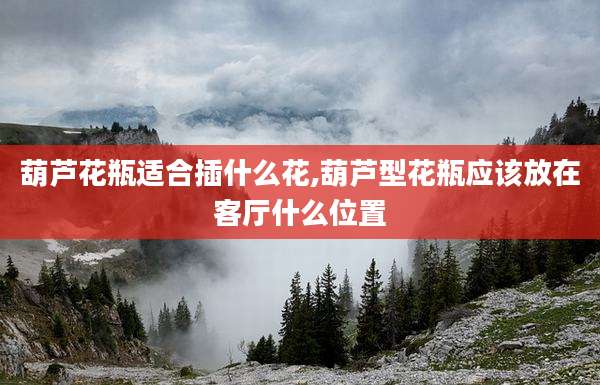葫芦花瓶适合插什么花,葫芦型花瓶应该放在客厅什么位置