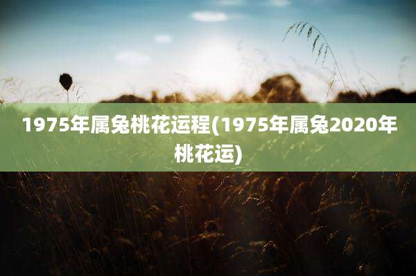1975年属兔桃花运程(1975年属兔2020年桃花运)