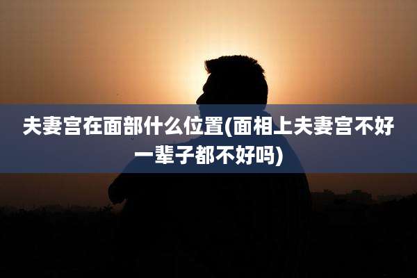 夫妻宫在面部什么位置(面相上夫妻宫不好一辈子都不好吗)