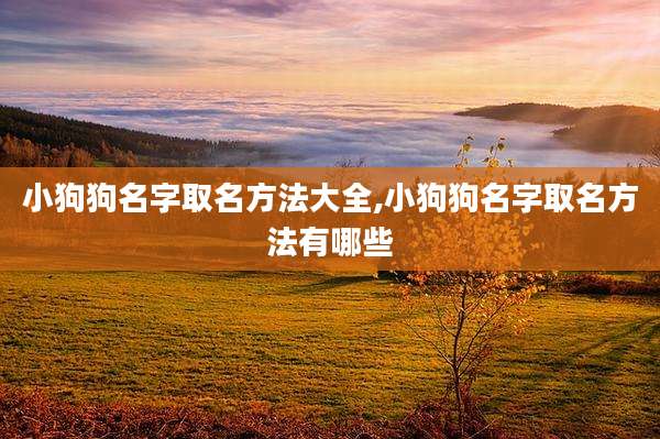 小狗狗名字取名方法大全,小狗狗名字取名方法有哪些