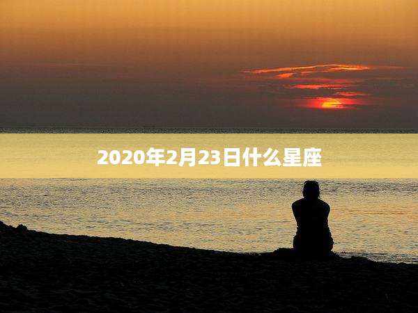 2020年2月23日什么星座