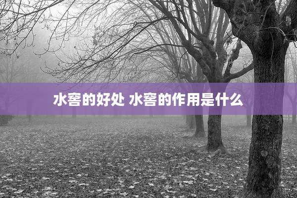 水窖的好处 水窖的作用是什么