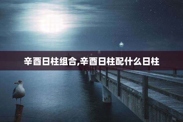 辛酉日柱组合,辛酉日柱配什么日柱