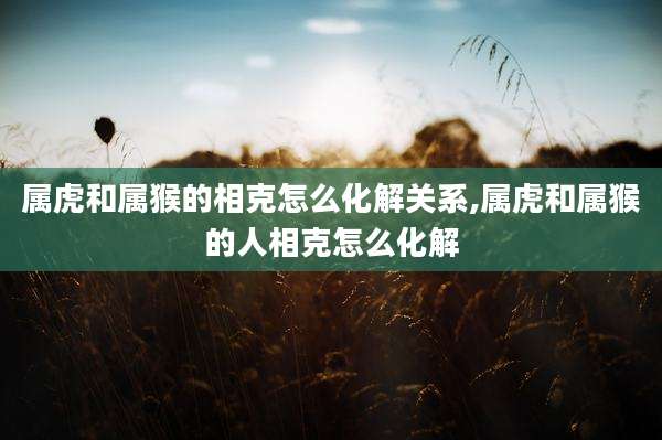属虎和属猴的相克怎么化解关系,属虎和属猴的人相克怎么化解