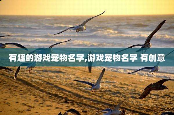 有趣的游戏宠物名字,游戏宠物名字 有创意