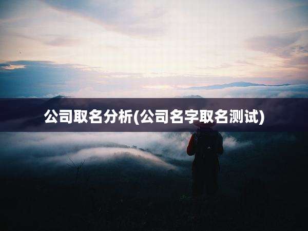 公司取名分析(公司名字取名测试)