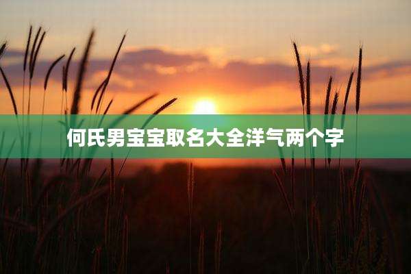 何氏男宝宝取名大全洋气两个字
