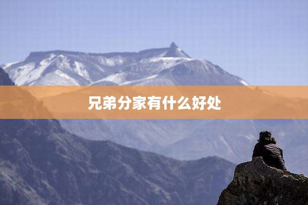 兄弟分家有什么好处