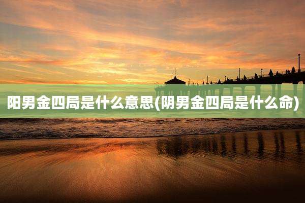 阳男金四局是什么意思(阴男金四局是什么命)