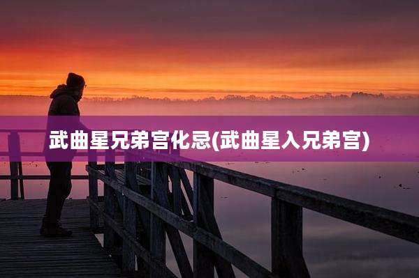 武曲星兄弟宫化忌(武曲星入兄弟宫)