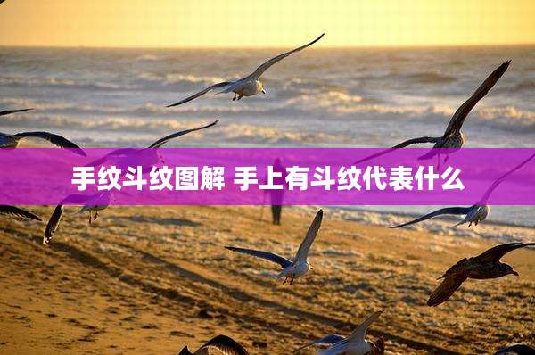 手纹斗纹图解 手上有斗纹代表什么