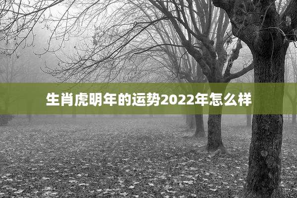 生肖虎明年的运势2022年怎么样