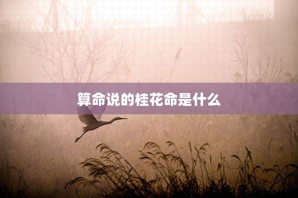 算命说的桂花命是什么