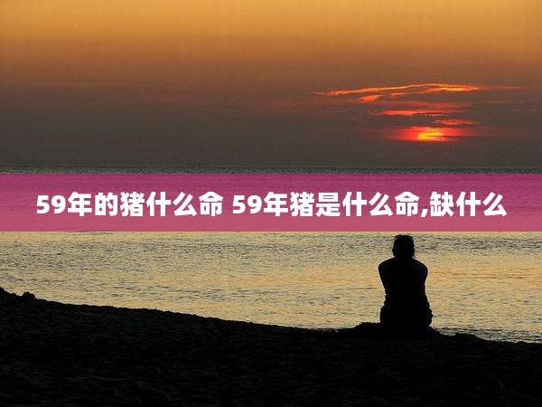 59年的猪什么命 59年猪是什么命,缺什么