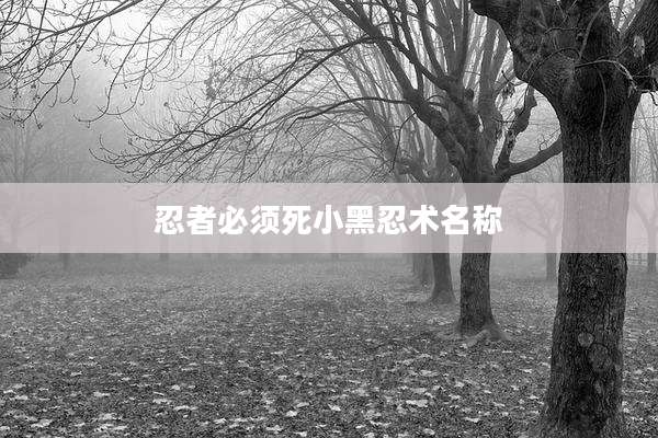 忍者必须死小黑忍术名称