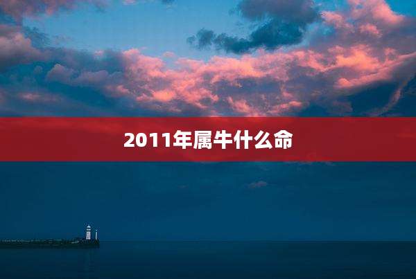2011年属牛什么命