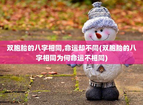双胞胎的八字相同,命运却不同(双胞胎的八字相同为何命运不相同)