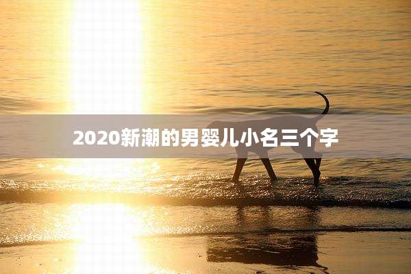 2020新潮的男婴儿小名三个字