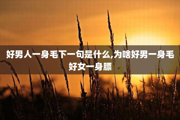 好男人一身毛下一句是什么,为啥好男一身毛好女一身膘