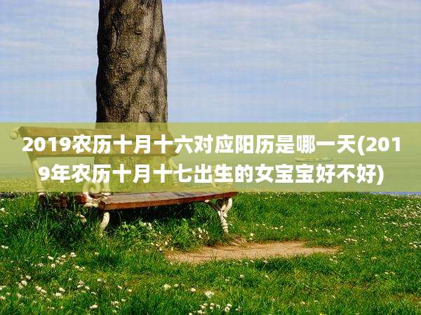 2019农历十月十六对应阳历是哪一天(2019年农历十月十七出生的女宝宝好不好)