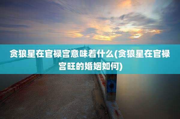贪狼星在官禄宫意味着什么(贪狼星在官禄宫旺的婚姻如何)