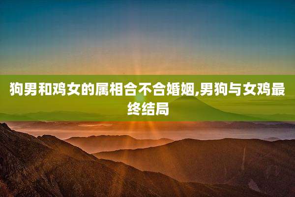 狗男和鸡女的属相合不合婚姻,男狗与女鸡最终结局