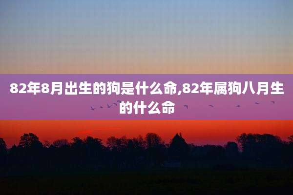 82年8月出生的狗是什么命,82年属狗八月生的什么命