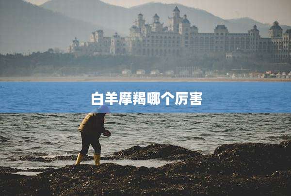 白羊摩羯哪个厉害