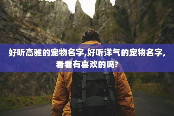 好听高雅的宠物名字,好听洋气的宠物名字,看看有喜欢的吗?