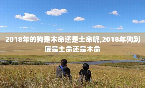 2018年的狗是木命还是土命呢,2018年狗到底是土命还是木命