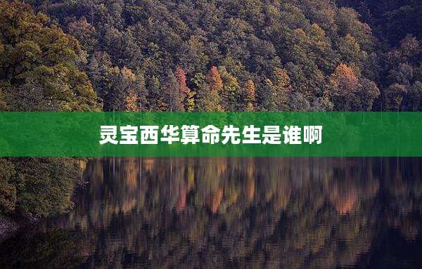灵宝西华算命先生是谁啊