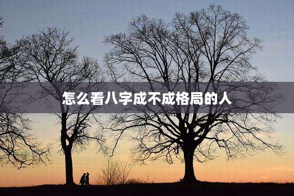 怎么看八字成不成格局的人