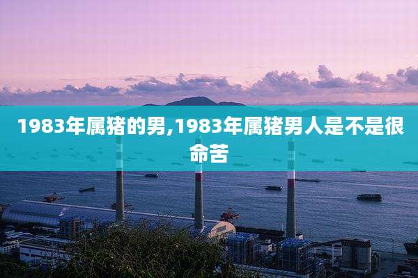 1983年属猪的男,1983年属猪男人是不是很命苦
