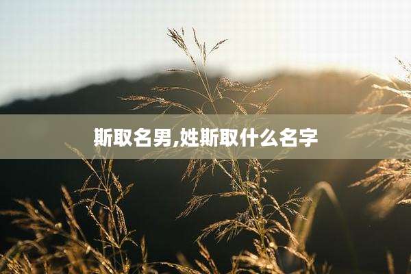 斯取名男,姓斯取什么名字