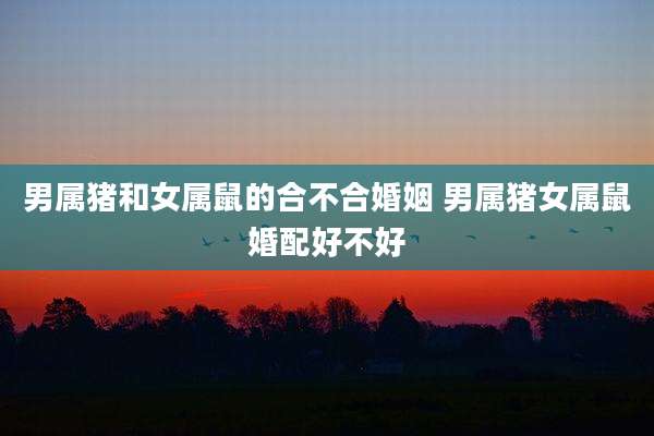 男属猪和女属鼠的合不合婚姻 男属猪女属鼠婚配好不好