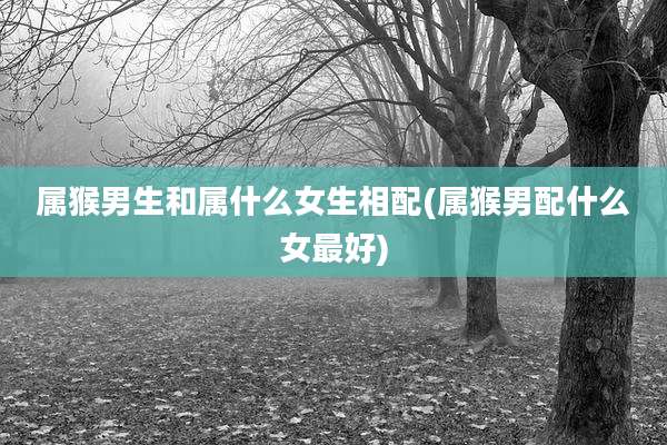 属猴男生和属什么女生相配(属猴男配什么女最好)