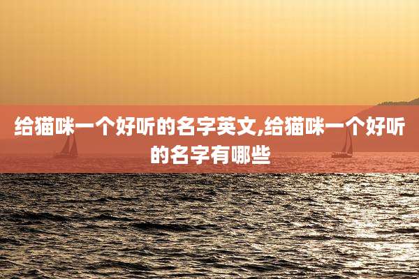 给猫咪一个好听的名字英文,给猫咪一个好听的名字有哪些