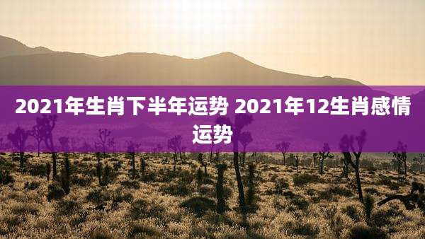 2021年生肖下半年运势 2021年12生肖感情运势