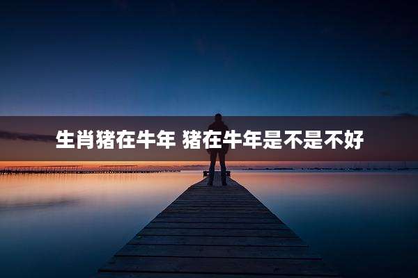 生肖猪在牛年 猪在牛年是不是不好