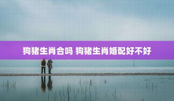 狗猪生肖合吗 狗猪生肖婚配好不好