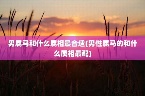 男属马和什么属相最合适(男性属马的和什么属相最配)
