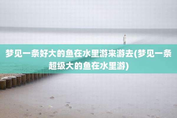 梦见一条好大的鱼在水里游来游去(梦见一条超级大的鱼在水里游)