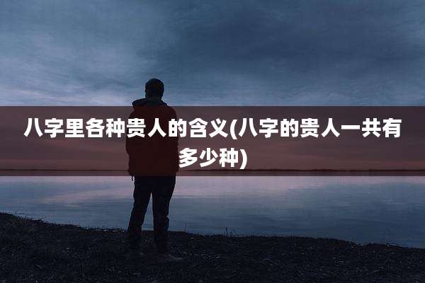 八字里各种贵人的含义(八字的贵人一共有多少种)