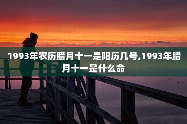 1993年农历腊月十一是阳历几号,1993年腊月十一是什么命