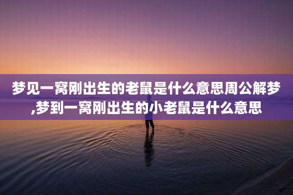 梦见一窝刚出生的老鼠是什么意思周公解梦,梦到一窝刚出生的小老鼠是什么意思