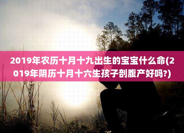 2019年农历十月十九出生的宝宝什么命(2019年阴历十月十六生孩子剖腹产好吗?)