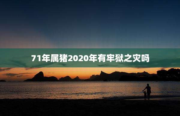 71年属猪2020年有牢狱之灾吗