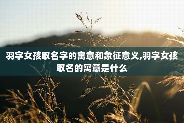 羽字女孩取名字的寓意和象征意义,羽字女孩取名的寓意是什么